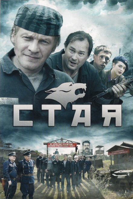 Стая